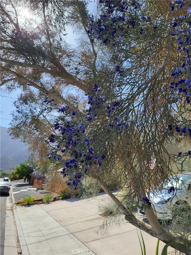 54030 Eisenhower Dr, La Quinta, CA 92253 - exterior view