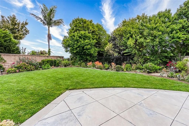 view of yard with a fenced backyard and a patio area