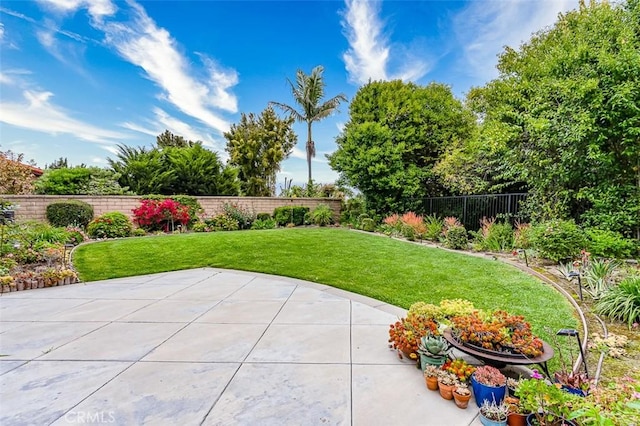 view of yard with a fenced backyard and a patio