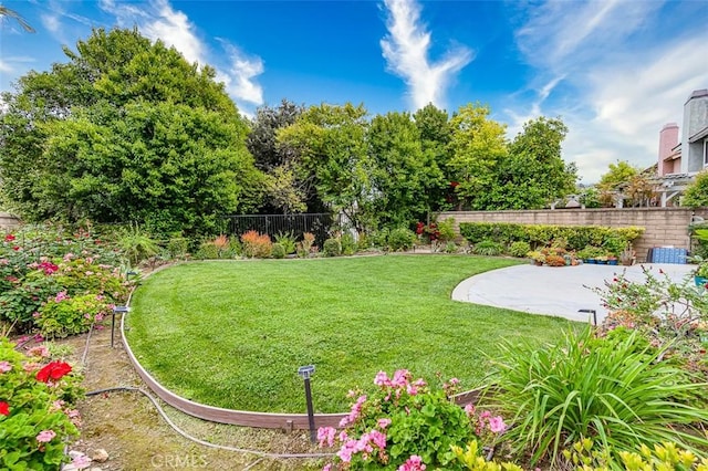 view of yard with a fenced backyard and a patio