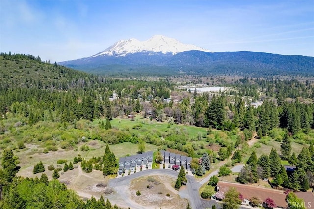 1422 Kingston Rd, Mount Shasta, CA 96067 - photo 5