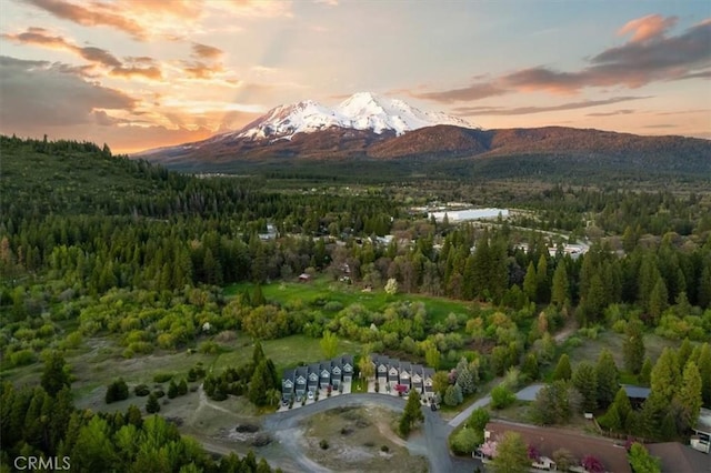 1422 Kingston Rd, Mount Shasta, CA 96067 - photo 27