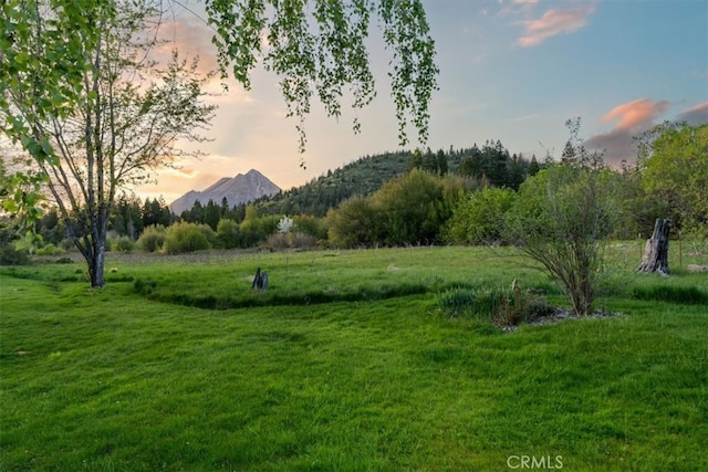 1422 Kingston Rd, Mount Shasta, CA 96067 - photo 36