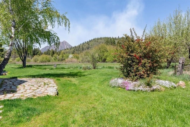 1422 Kingston Rd, Mount Shasta, CA 96067 - photo 21