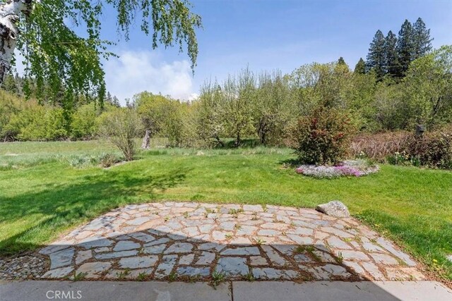 1422 Kingston Rd, Mount Shasta, CA 96067 - photo 22