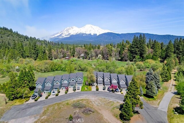 1422 Kingston Rd, Mount Shasta, CA 96067 - photo 4