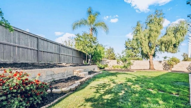 25624 Driftview Cir, Menifee, CA 92584 - view of yard