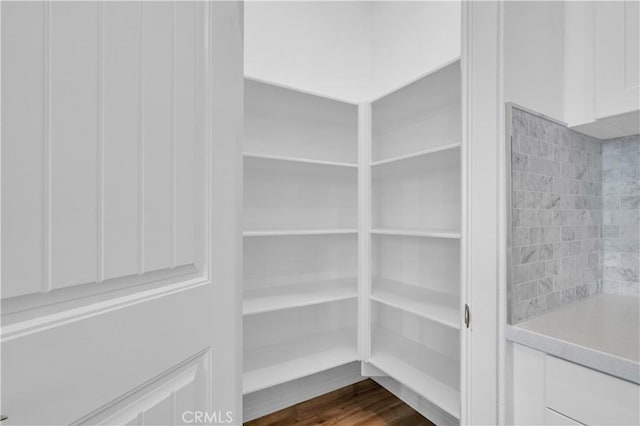 14667 Gulfstream Ln, Moreno Valley, CA 92553 - view of storage area