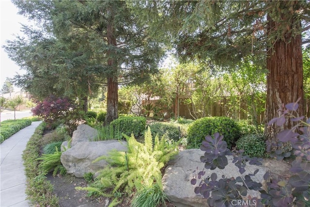 1490 N Dewitt Ave, Clovis, CA 93619 - exterior space with fence