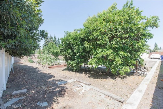 1490 N Dewitt Ave, Clovis, CA 93619 - view of yard featuring a garden and a fenced backyard
