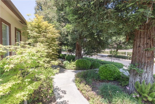 1490 N Dewitt Ave, Clovis, CA 93619 - view of surrounding community