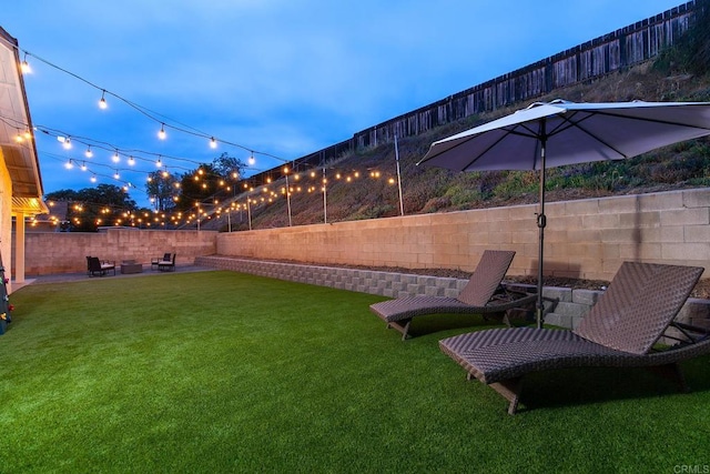view of yard with a patio and a fenced backyard