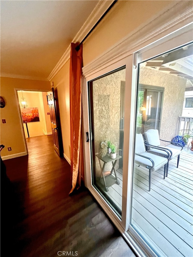 doorway with crown molding and dark wood-type flooring