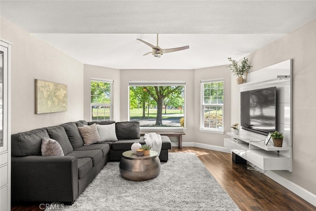 living area with dark wood finished floors, plenty of natural light, and baseboards