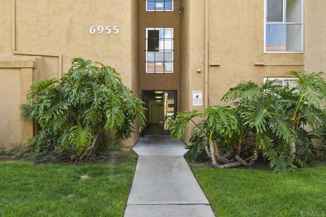 property entrance featuring stucco siding and a lawn