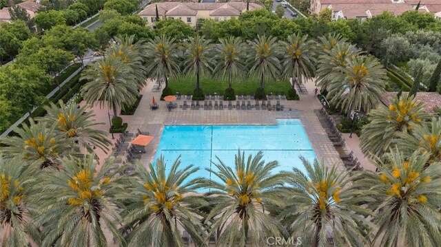 102 Rose Arch Unit 23, Irvine, CA 92620 - view of pool