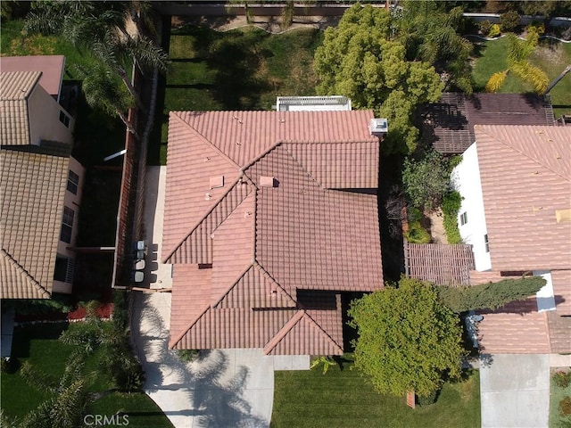drone / aerial view