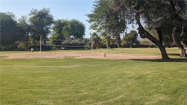 150020 Bluewater Rd, Big River, CA 92242 - view of home's community featuring a yard and volleyball court