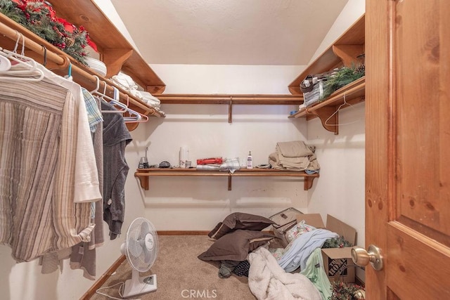 walk in closet featuring carpet flooring