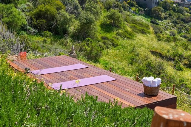2516 Temple Hills Dr, Laguna Beach, CA 92651 - entry to storm shelter