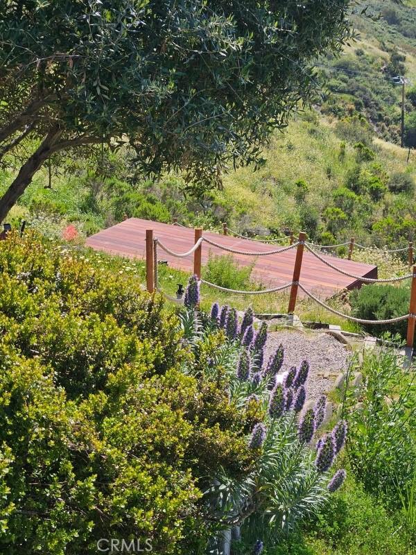 2516 Temple Hills Dr, Laguna Beach, CA 92651 - view of yard