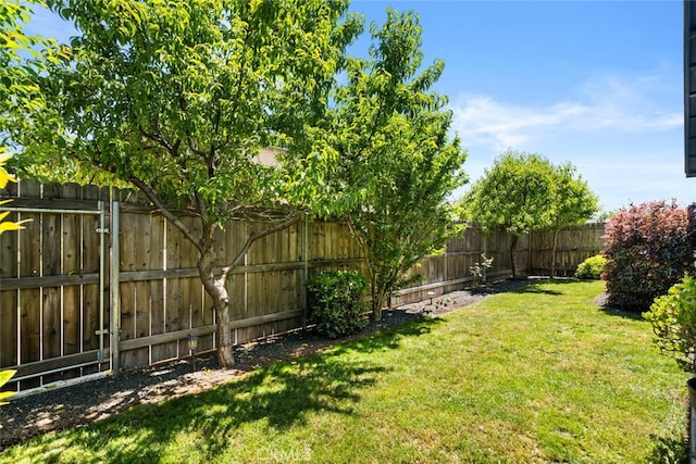 view of yard with a fenced backyard