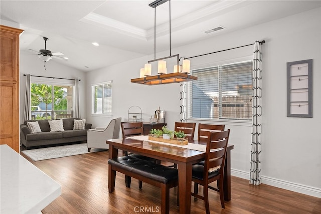 dining space featuring a tray ceiling, dark wood-type flooring, ceiling fan, visible vents, and vaulted ceiling