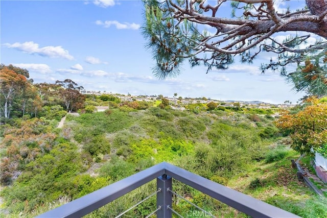2245 Avenida Salvador, San Clemente, CA 92672 - view of yard
