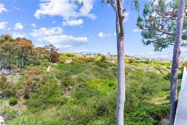 2245 Avenida Salvador, San Clemente, CA 92672 - view of nature