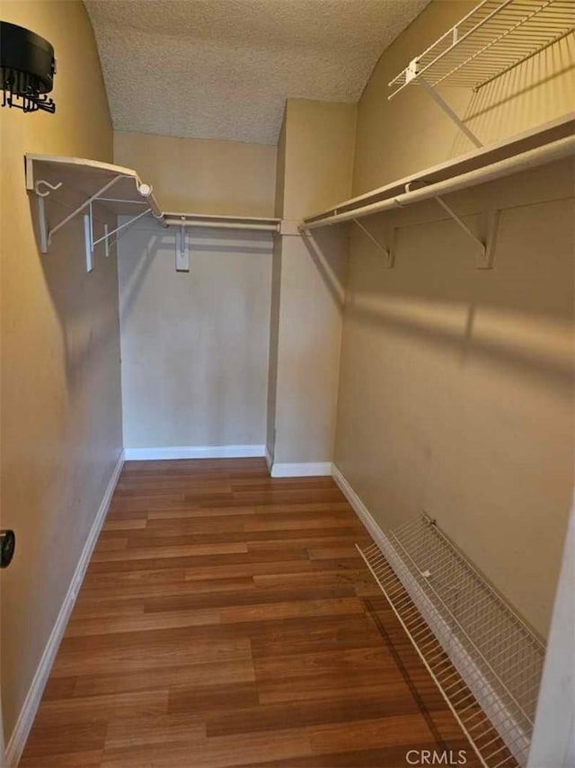 walk in closet featuring wood finished floors