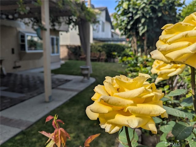 4 Henry, Irvine, CA 92620 - photo 24