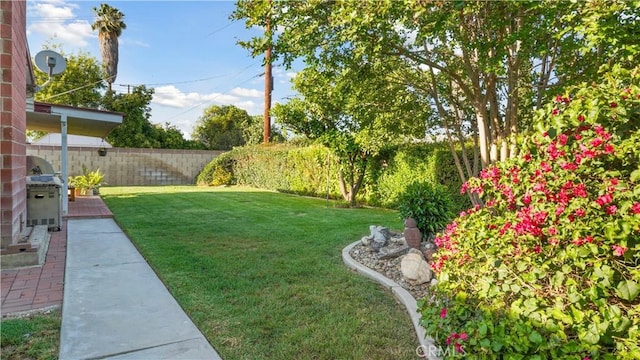 5427 Picker St, Riverside, CA 92503 - view of yard