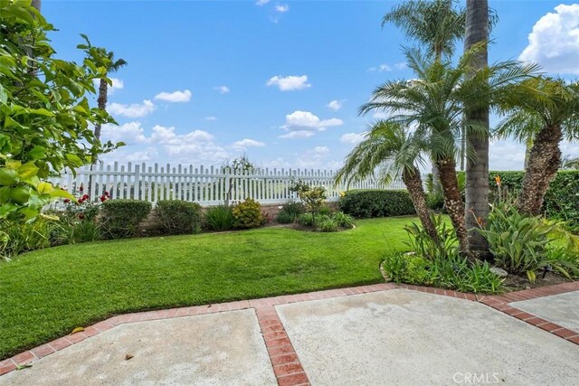 view of yard featuring a patio area