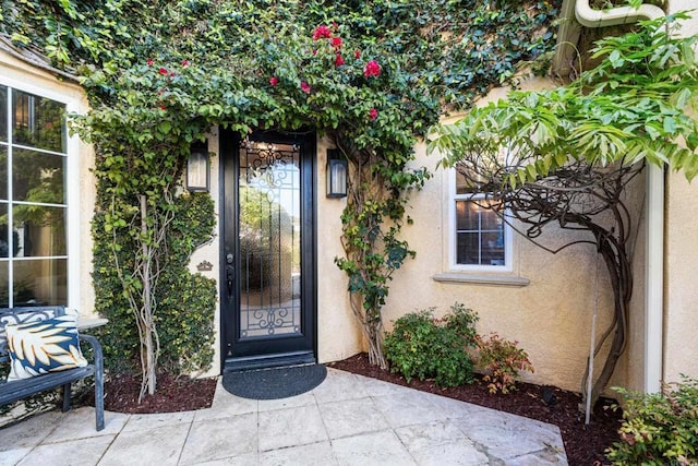 doorway to property featuring stucco siding