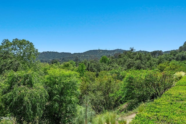 property view of mountains with a view of trees