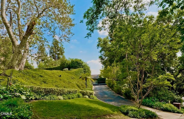 surrounding community with a lawn