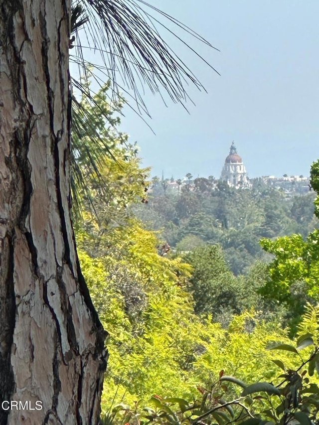 mountain view