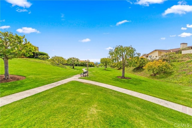 view of home's community with a lawn