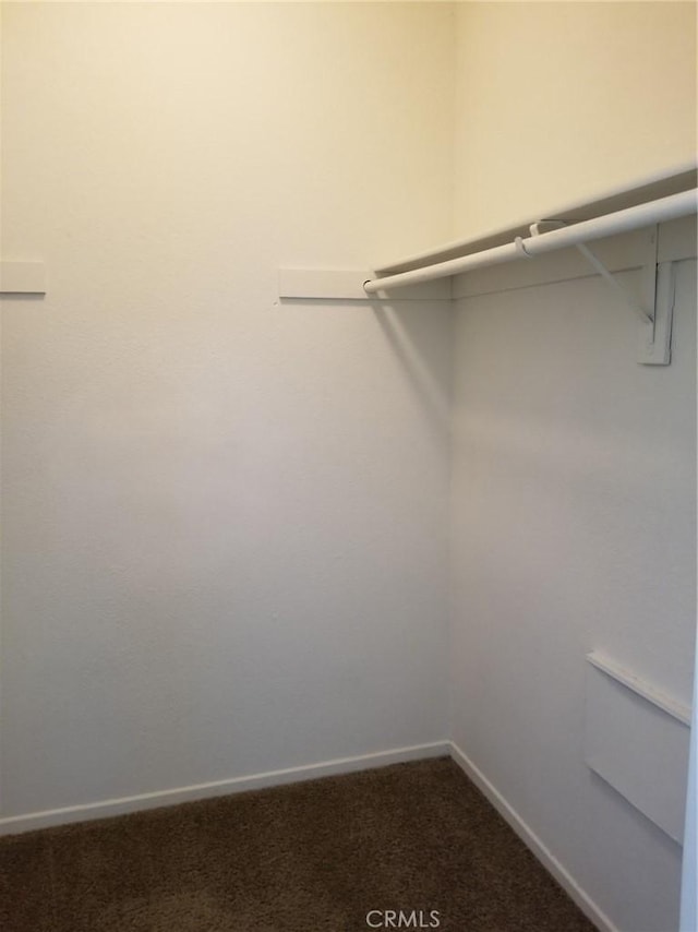 spacious closet featuring dark colored carpet