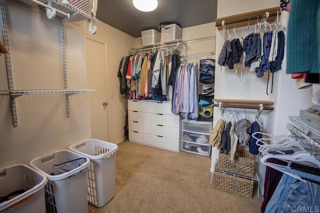spacious closet featuring carpet flooring