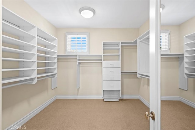 walk in closet featuring carpet