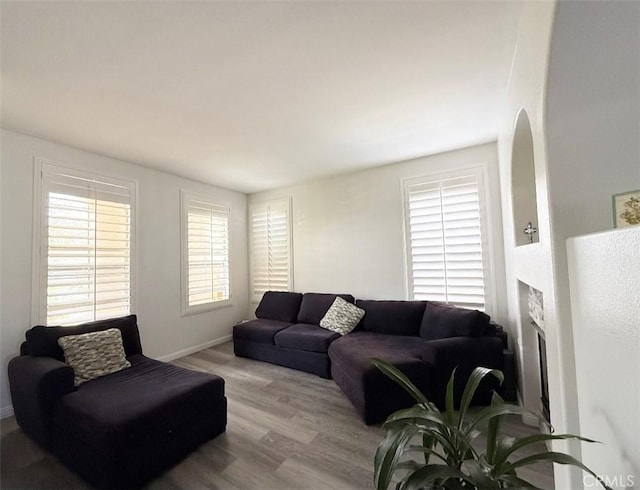 living room featuring a fireplace, baseboards, and wood finished floors