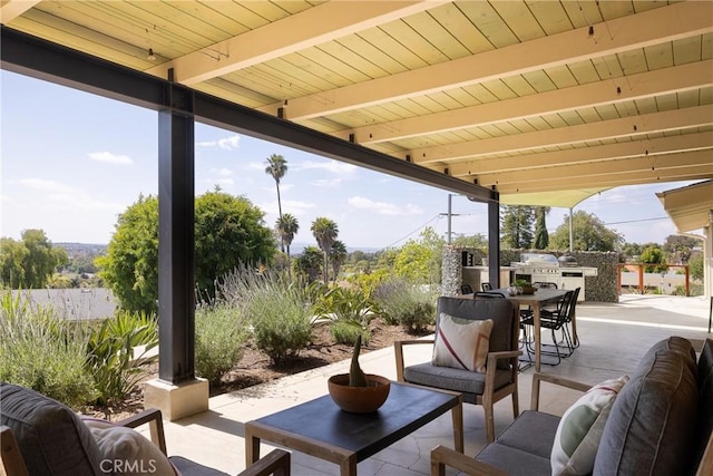 view of patio / terrace with exterior kitchen, outdoor dining space, and an outdoor living space
