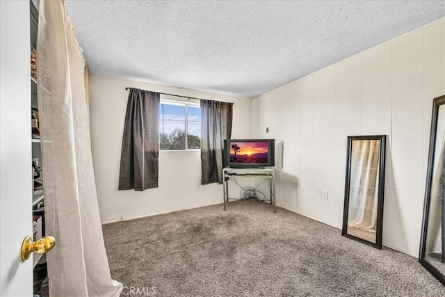 empty room with a textured ceiling and carpet