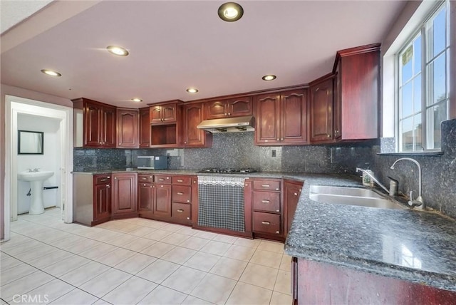kitchen featuring light tile patterned floors, a sink, backsplash, under cabinet range hood, and appliances with stainless steel finishes