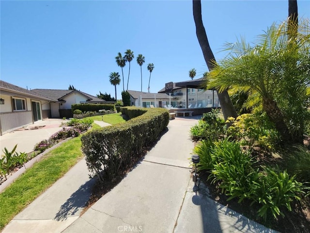 22723 Maple Ave, Torrance, CA 90505 - view of yard