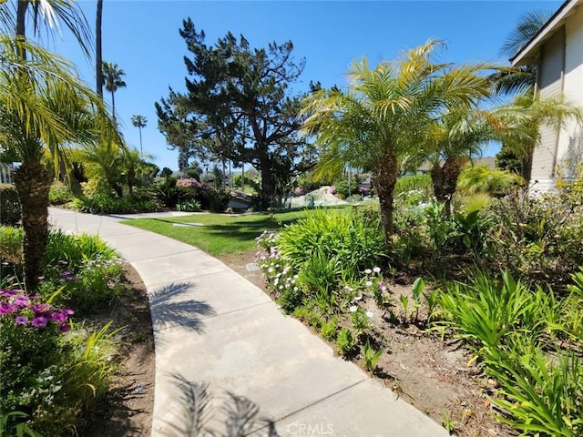 view of community featuring a yard
