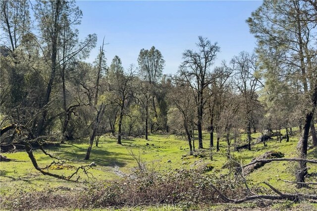 1 Sky Ct, Forest Ranch, CA 95942