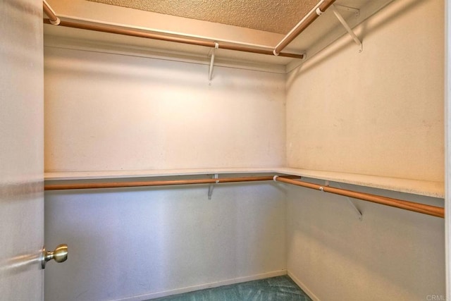 spacious closet with carpet flooring