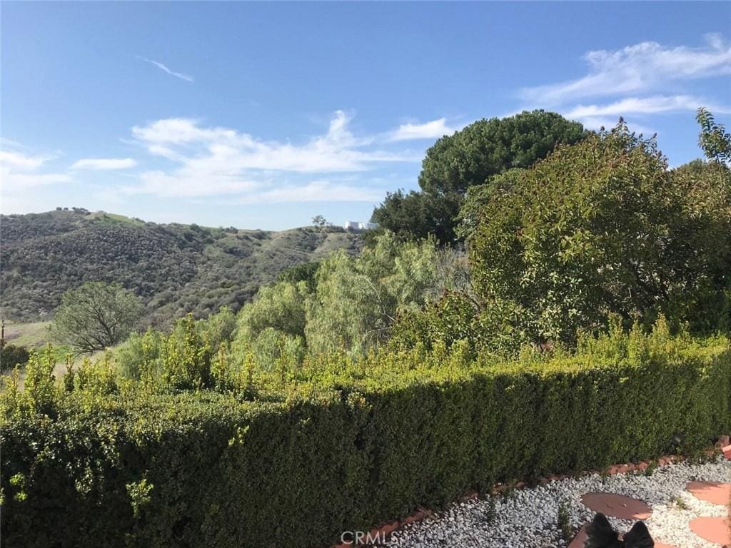 view of nature with a wooded view
